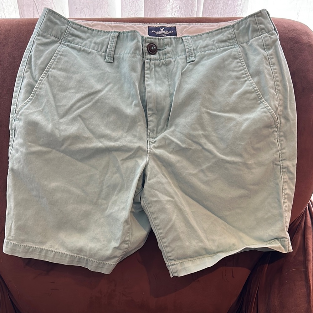 American Eagle Outfitters Green Flat Front Shorts